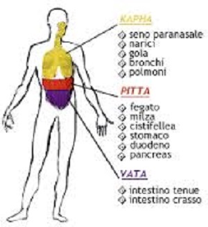 tridosha 2.jpg